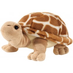 Peluche tortue Plush and...