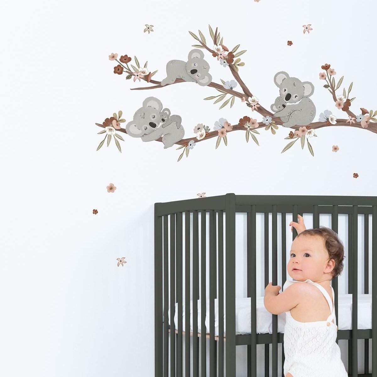 photo stickers branche avec koala