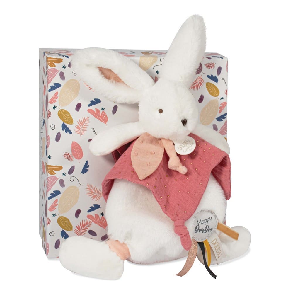 image doudou lapin fille