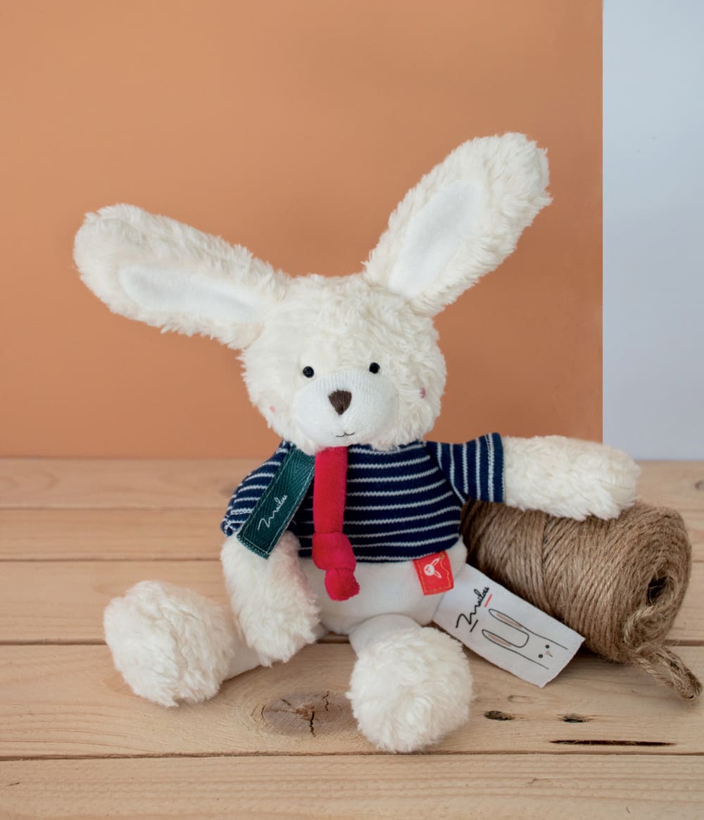 photo d un pantin lapin bio