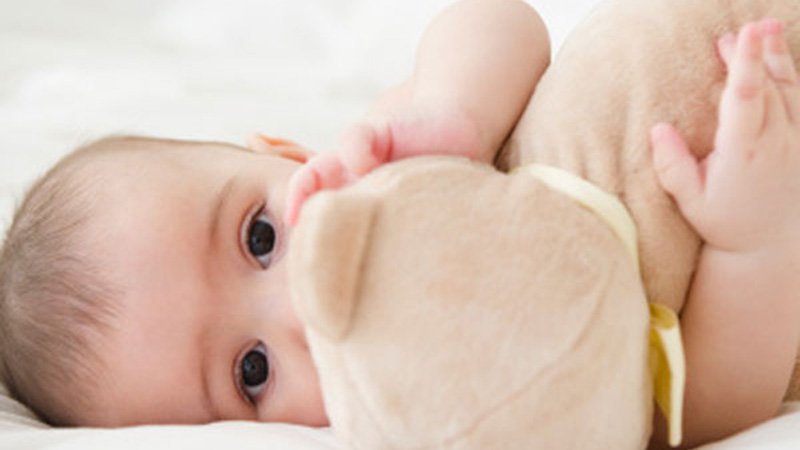 photo de bébé